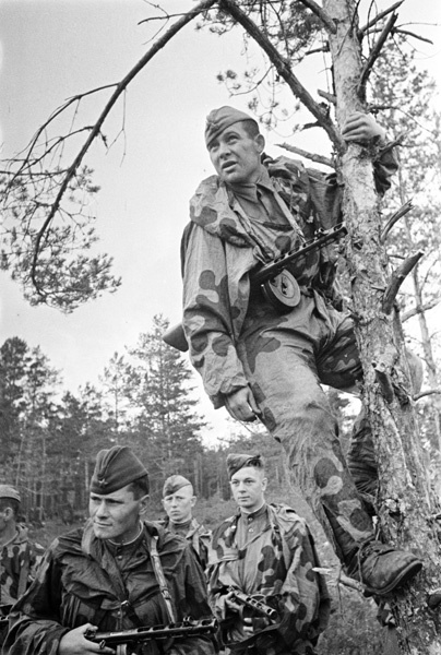 Great Patriotic War 1941-1945. - The Great Patriotic War, To be remembered, War correspondent, Shaikhet Arkadiy Samoylovich, Longpost