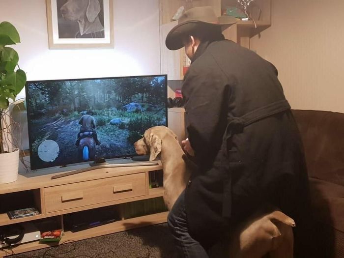 Шевелись, Плотва!