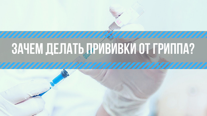 Нужна ли вакцинация от гриппа? - Моё, Грипп, Профилактика Гриппа, Прививка, Грипп эпидемия прививки дети, Профилактика, Длиннопост, Вакцинация