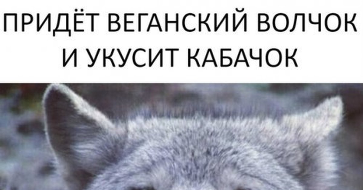 Придет серенький волчок и укусит. Придет волчок и укусит за бочок. Бочок волчок. Придет серенький волчок и укусит кабачок. Кусь за бочек.