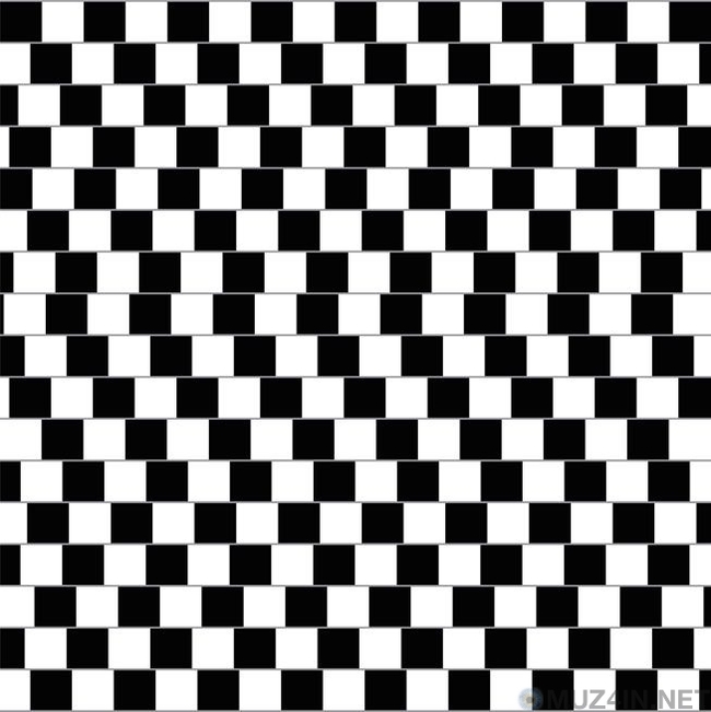 13 optical illusions that will blow your mind - My, Facts, Optical illusions, Interesting, Optical illusion, Informative, Video, GIF, Longpost