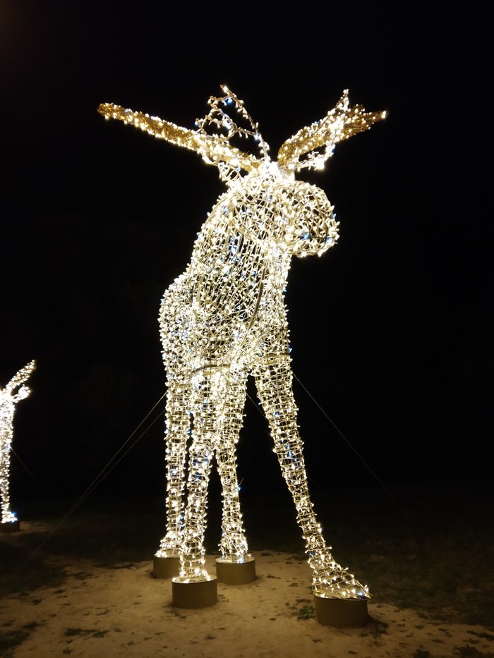 Minsk. Elk.. - My, Minsk, The photo, Elk, New Year, Installation