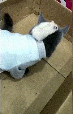 Кто здесь?