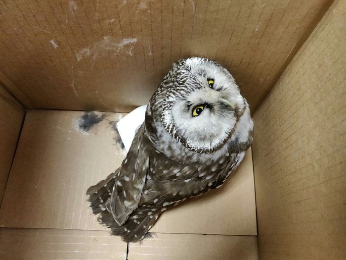 ���� �� ���������