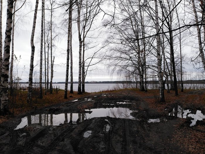 Несколько зарисовок сельской жизни глазами горожанки. - Моё, Деревня, Дауншифтинг, Длиннопост