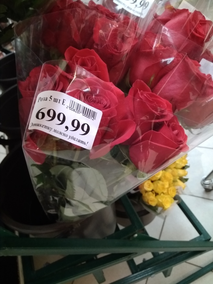 What's the point? - Flowers, Bouquet, the Rose, Price tag, Longpost