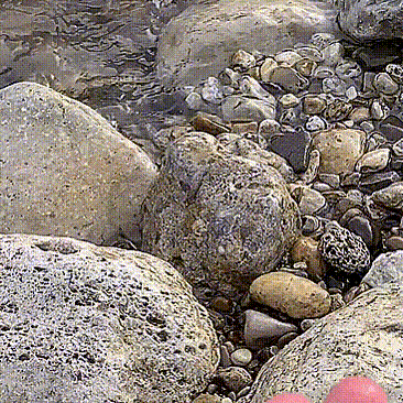1541803078172358596.gif