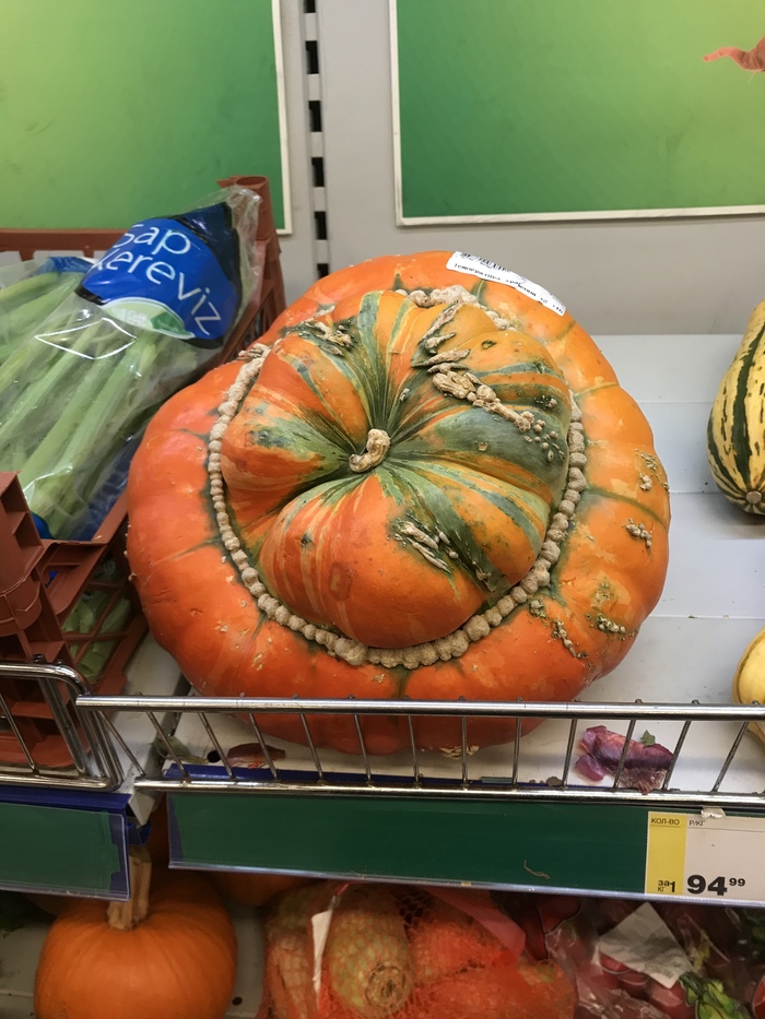Birth of a Pumpkin - My, Pumpkin, Halloween pumpkin, Stranger, , Birth, , Longpost