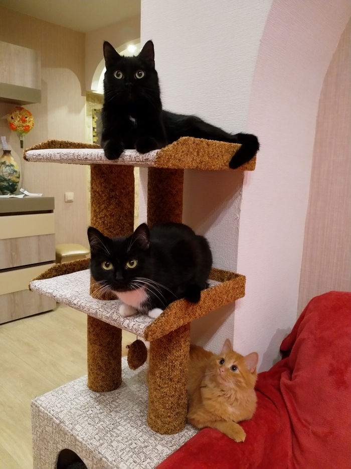 ��� ������)