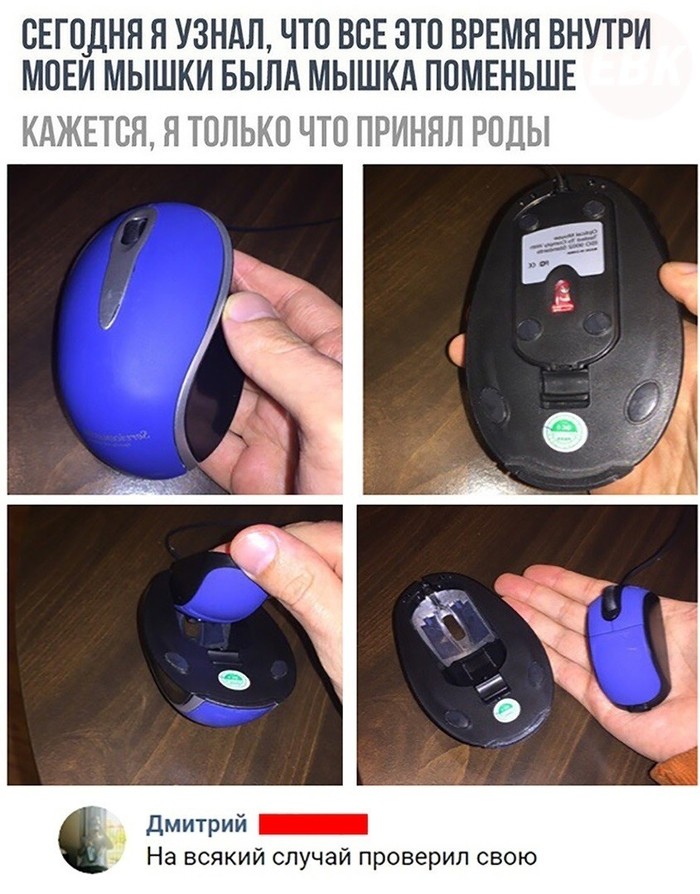Проверить мышку. Проверка мышки. Компьютерные мыши бывают только лазерные. Компьютерная мышь показалось. Мыши что есть внутри