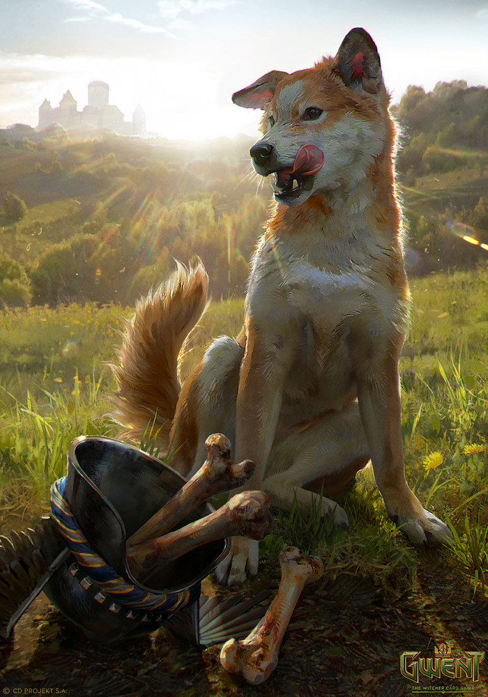 Nakers. - Dog, Characters (edit), Games, Art, Digital, Gwent, Witcher