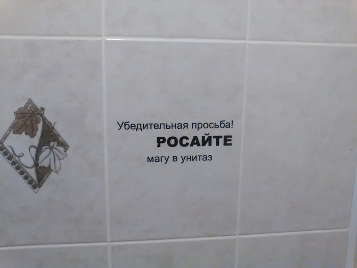 ..drop the magician in the toilet)) the magician is tired of waiting) - My, Magician, Toilet