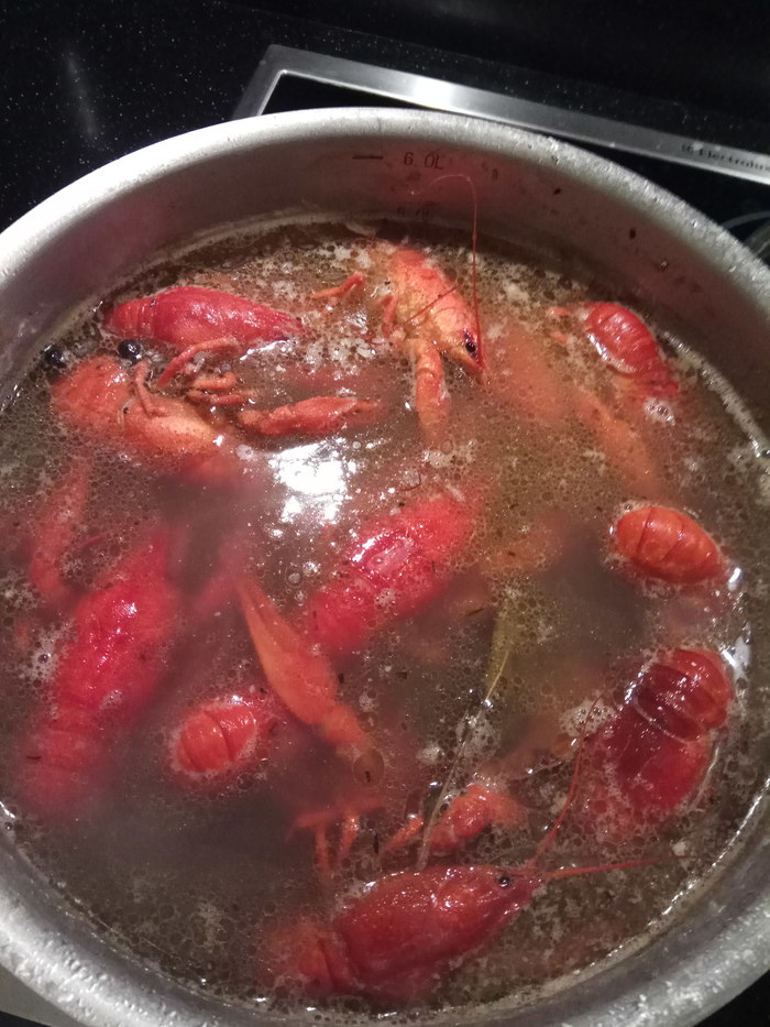 �� �������� �����������!