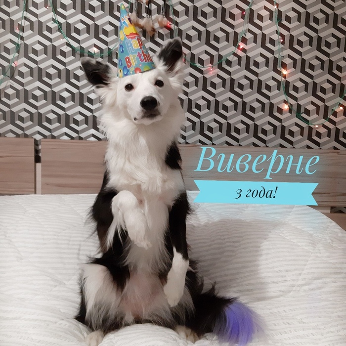 С Днём Рождения, Виви!