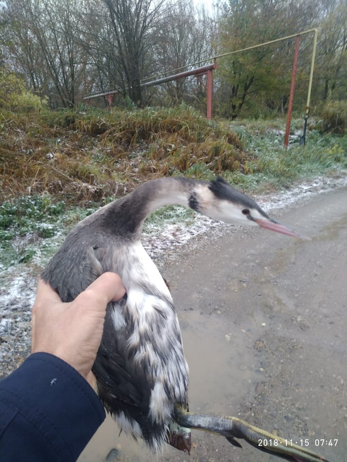 ��� ��� �� ����� ������� ����� ������? ��� �������? ����� ���������?