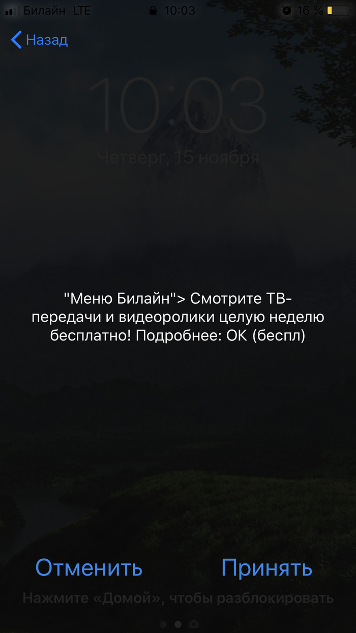 Билайн и Мобильные подписки: новости, истории клиентов, услуги — Все посты  - Страница 10 | Пикабу