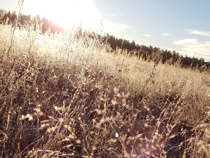 Серебряное поле  и осенний восход