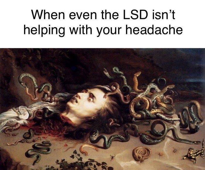 Probably should have started with aspirin. - Snake, LSD, Headache, Reddit