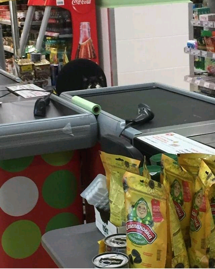 ������� �� ����� �� �������?