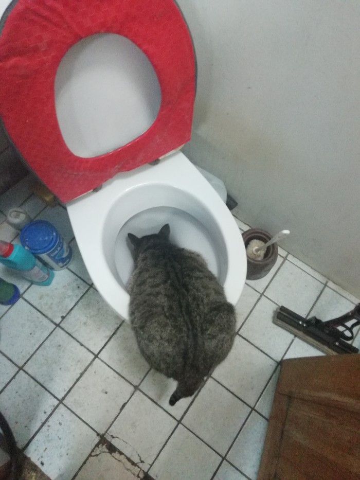 ����� ����� - ����� ��!!!