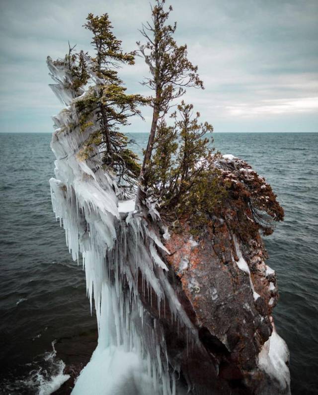 Cold - The rocks, Sea, Tree, Frazil, Winter, Storm, 