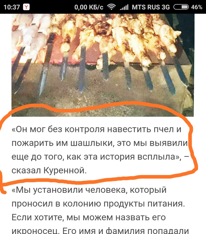 Пчелы не могут сами жарить шашлыки?