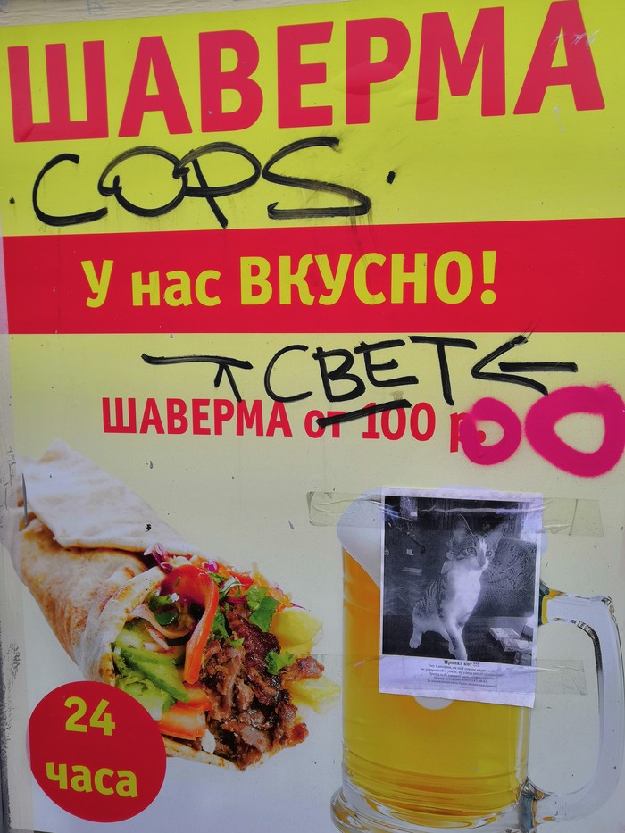 And all why - My, cat, Shawarma, , Belissimo, Always delicious, Longpost