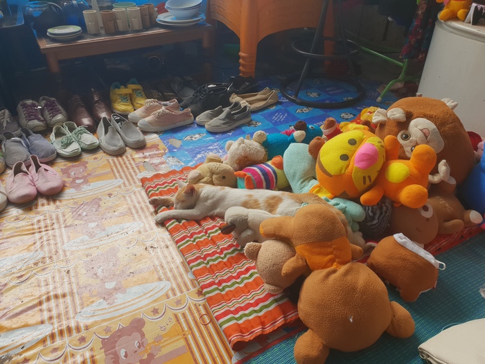 Tired toys are sleeping - My, cat, Market, Распродажа, Cheap, Toys