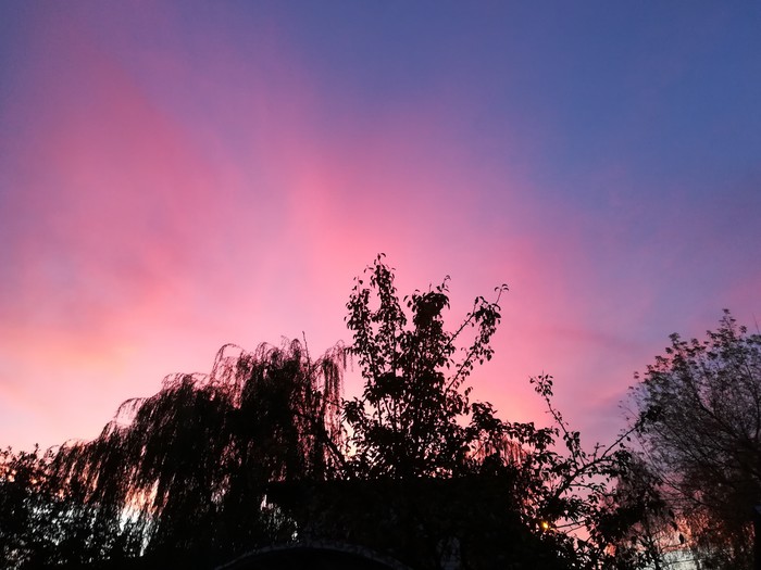 It is impossible to convey the beauty of a photograph. - My, Nature, Sky, Beautiful, Shcherbinka