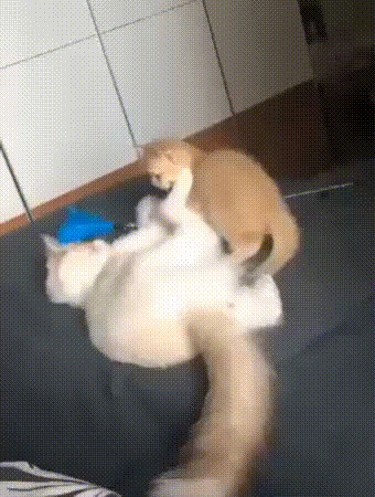 Не мешай отдыхать!