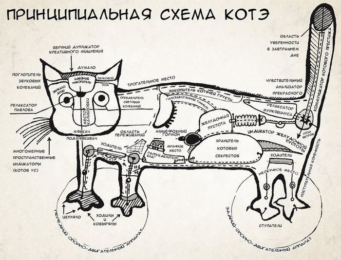 Kote circuit diagram - cat, Scheme