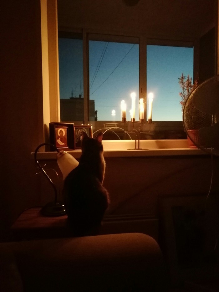 Autumn evening - cat, My, Candle