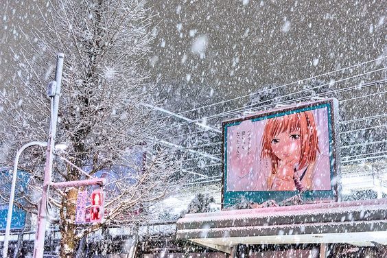 Winter in Tokyo - Winter, Snow, Japan, Tokyo, Longpost