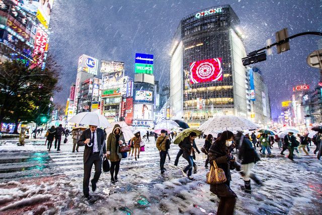 Winter in Tokyo - Winter, Snow, Japan, Tokyo, Longpost