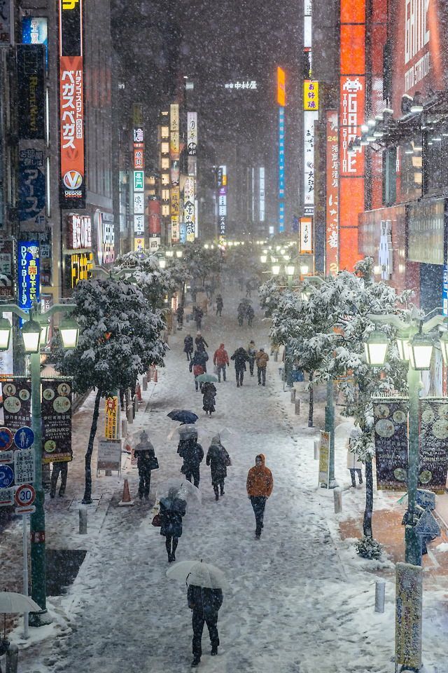 Winter in Tokyo - Winter, Snow, Japan, Tokyo, Longpost