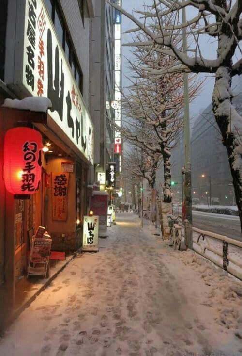 Winter in Tokyo - Winter, Snow, Japan, Tokyo, Longpost