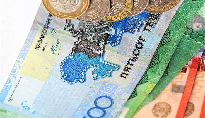 Self-employed from January 1 will pay tax - Kazakhstan, Payment, Tax, Self-employment, Business, Bill