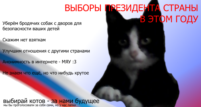 Kotov for president - My, cat, Elections, Humor