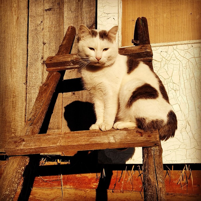 ��������� ��������� ������