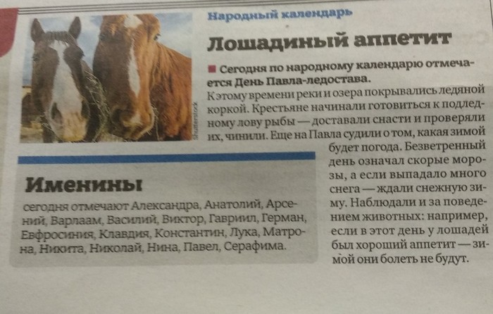 Horsemen, here's a prediction for the winter - My, Horses, Metro newspaper, Prediction