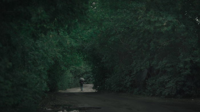 Quiet road... - My, Canon 600D, Soviet optics, Jupiter-37, Панорама, Omsk, The photo, Greenery