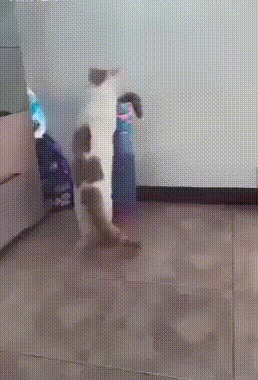 Эй, бро, ты в порядке?!