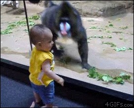  , , , 