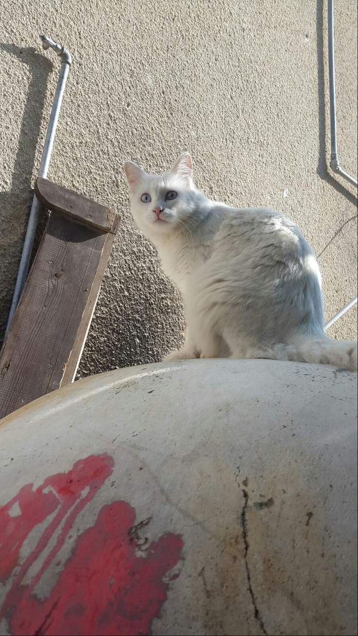   , , , 