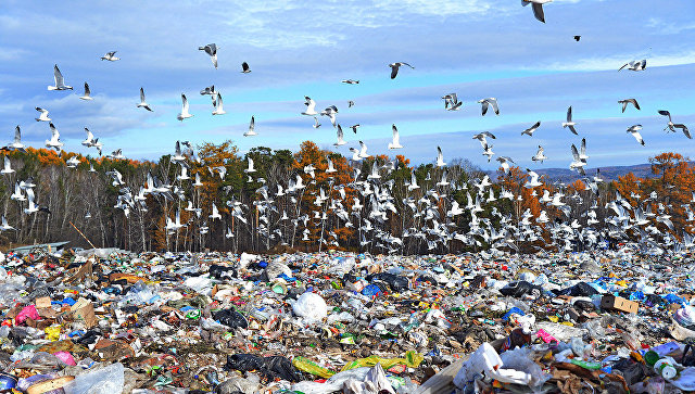 Why are landfills dangerous? - My, Dump, Garbage, Waste recycling, Incinerator, Ecology, W2e waste2energy, Longpost
