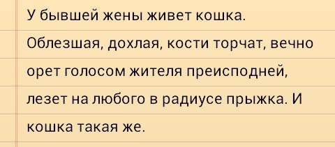 Схожесть питомцев и хозяев - Моё, Бывшая, Хозяин, Кот, Характер, Бывшие