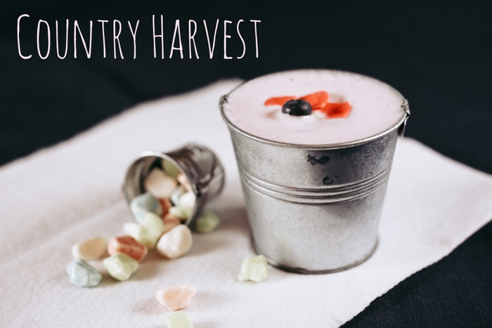 Бухаем Дома 2