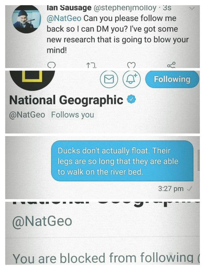 fat troll - Twitter, The national geographic, Troll