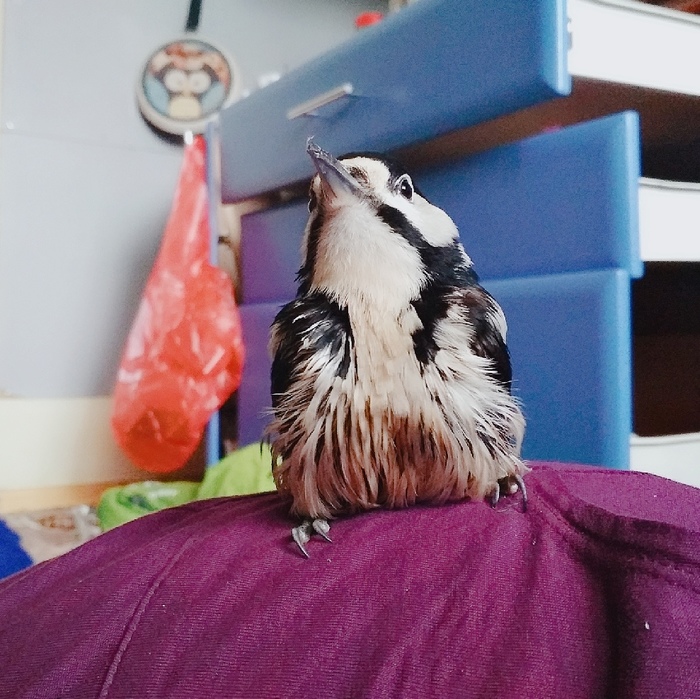 Когда ты хороший мальчик