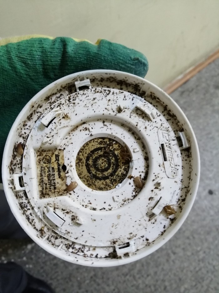  , , , 